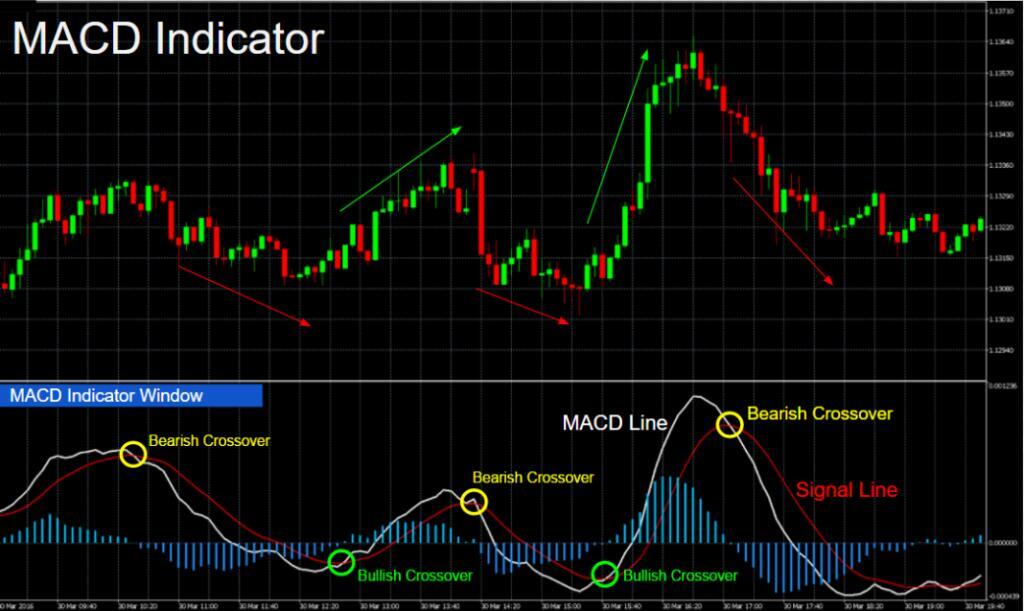 Image result for macd indicator