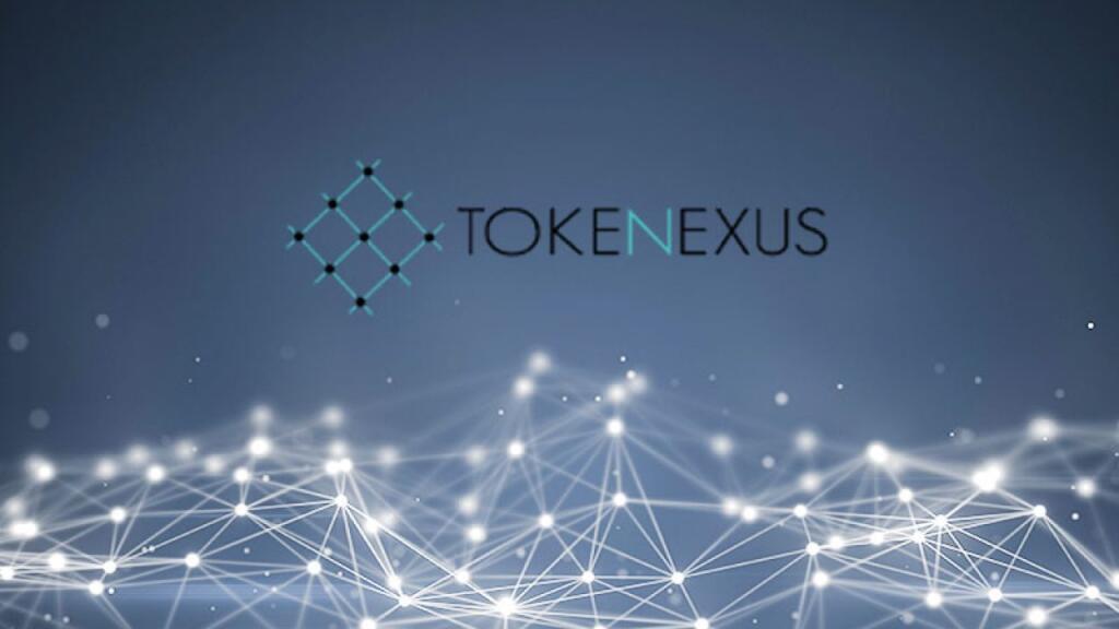 Криптообменник Tokenexus: обзор сервиса и реальные отзывы